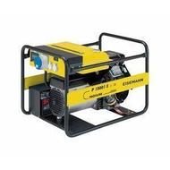 Бензиновый генератор Eisemann P 10001E Бензиновый генератор Eisemann P 10001E